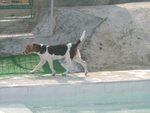 04_0221_1_nikkie