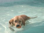 04_0221_2_zoe