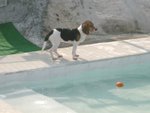 04_0221_5_nikkie
