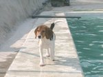 04_0221_7_nikkie
