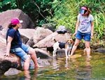hautong4