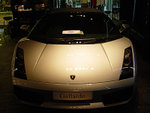 Gallardo