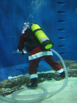 Santa Claus in the aquarium