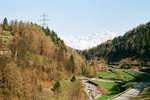 50970035