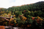 嵯峨野