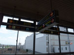 DSCF1351