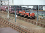 DSCF1373