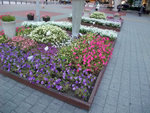 DSCF1832