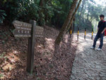 DSCF0876
