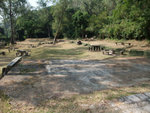 DSCF0881