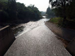 DSCF0894