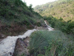 DSCF0901