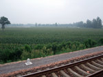 DSCF0168