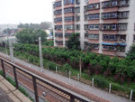 DSCF0175