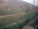 DSCF0245