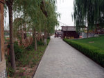 DSCF0307