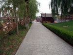 DSCF0308