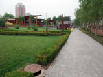 DSCF0311