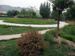DSCF0347