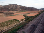 DSCF0432