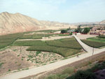 DSCF0439