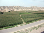 DSCF0442