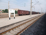 DSCF0443