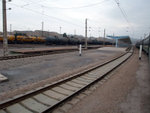 DSCF0452