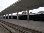 DSCF0454