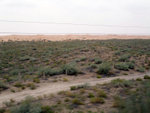 DSCF0491