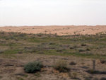 DSCF0494