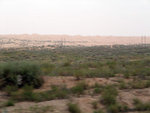 DSCF0497