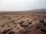 DSCF0499