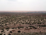 DSCF0500