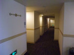 DSCF0567