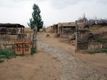 DSCF0597