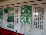 DSCF0608