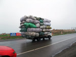 DSCF0663