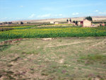 DSCF0724