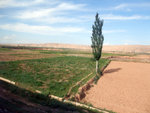 DSCF0725