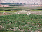DSCF0726