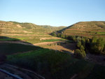DSCF0729