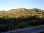 DSCF0730