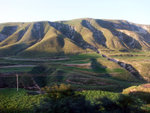 DSCF0731