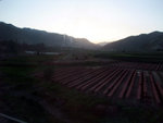 DSCF0734
