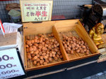 DSCF1742