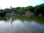 DSCF1748
