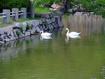 DSCF1750