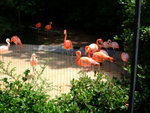 DSCF0361