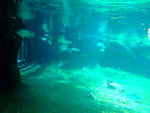 DSCF0369